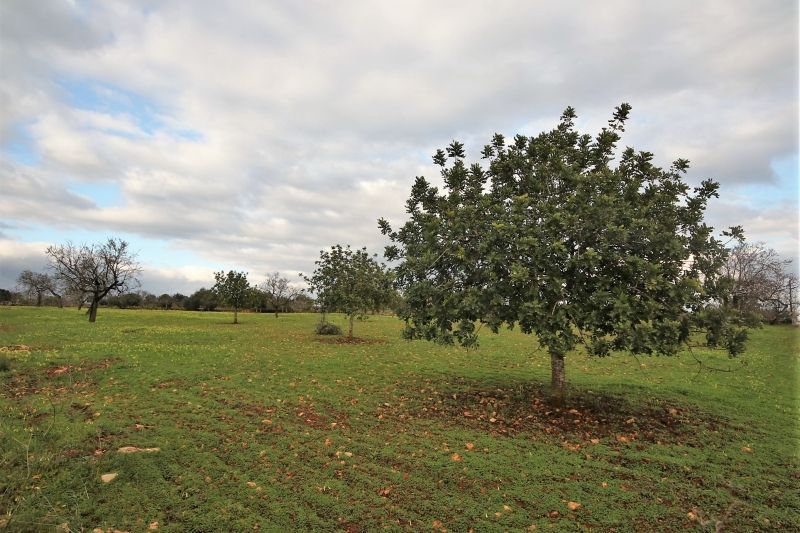 Residential for sale in Manacor