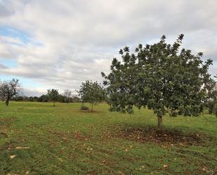 Residencial en venda en Manacor