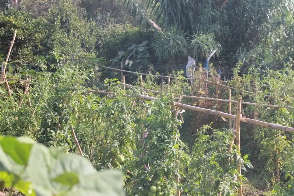 Casa o xalet en venda en San Martín del Tesorillo amb Calefacció, Jardí privat i Terrassa