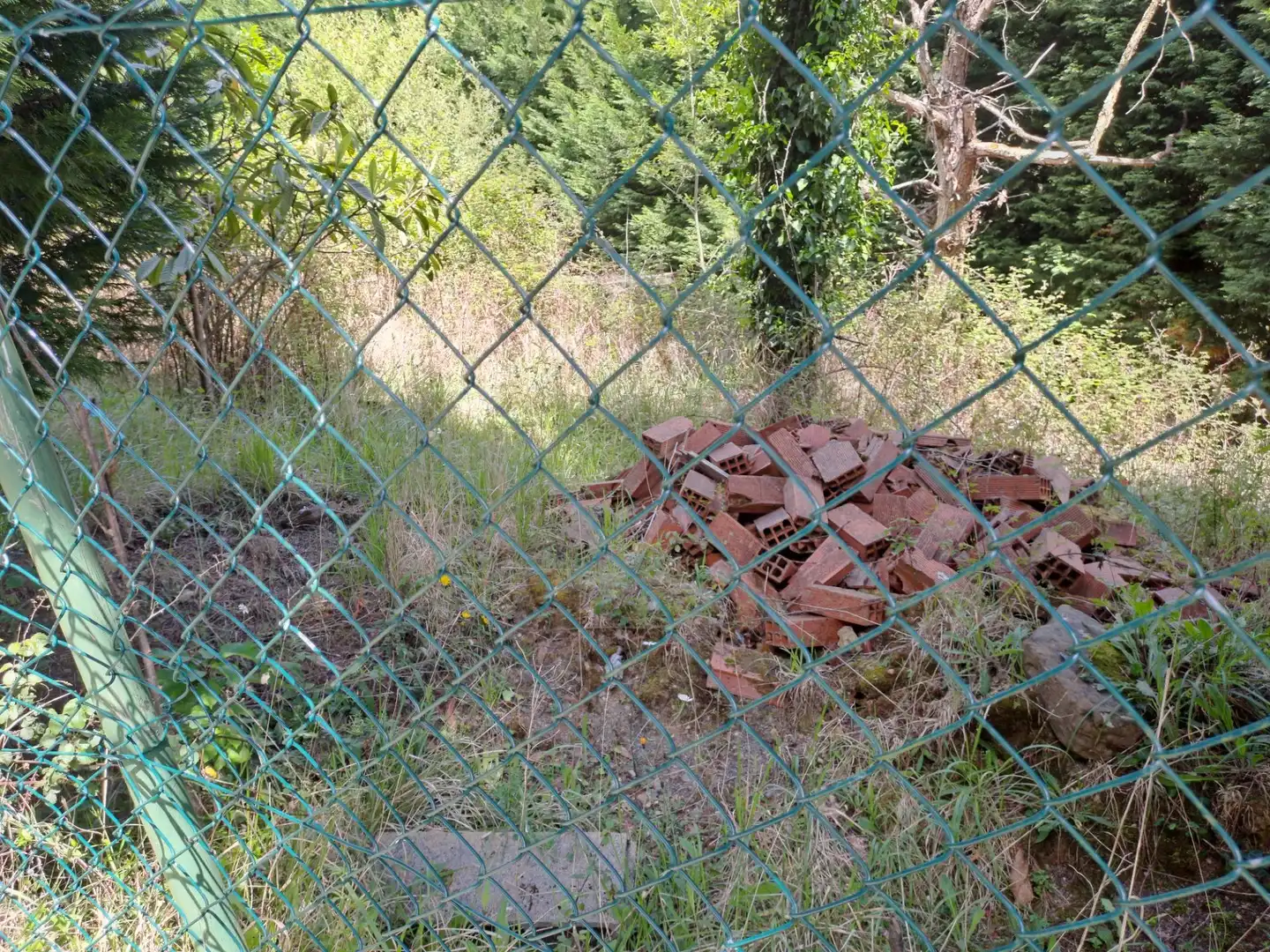 Terreny rústic en venda a CASTAÑEDO, imagen 6