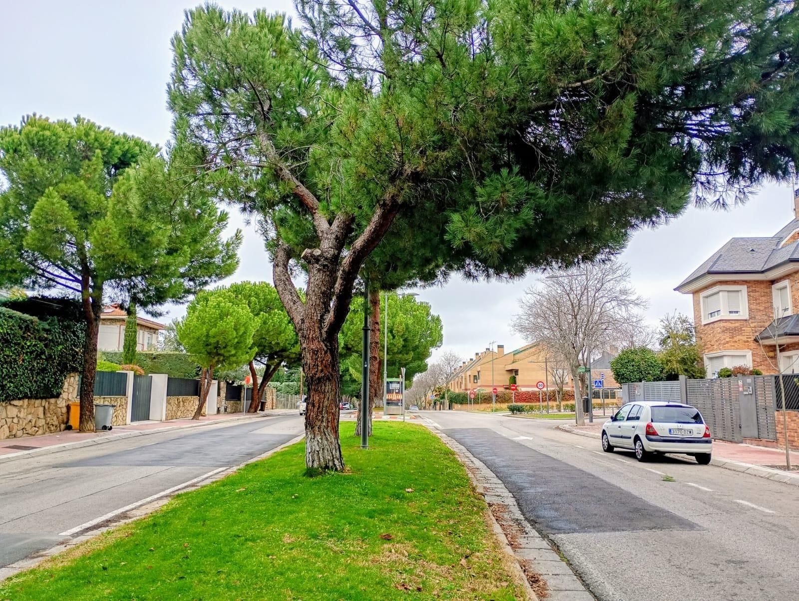 Exterior view of Single-family semi-detached for sale in Boadilla del Monte  with Air Conditioner, Heating and Private garden
