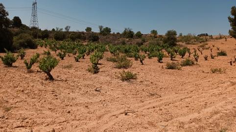 Foto 4 von Residential zum Verkauf in Pasaje Hoya Huesos, Venta del Moro, Valencia