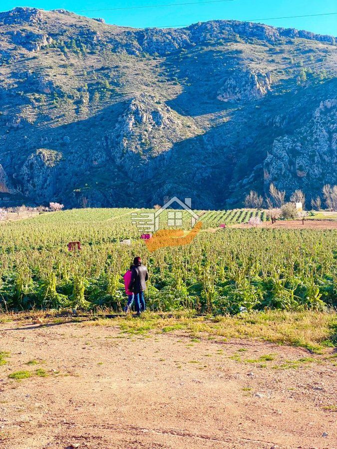 Nau industrial en venda en Vélez-Rubio