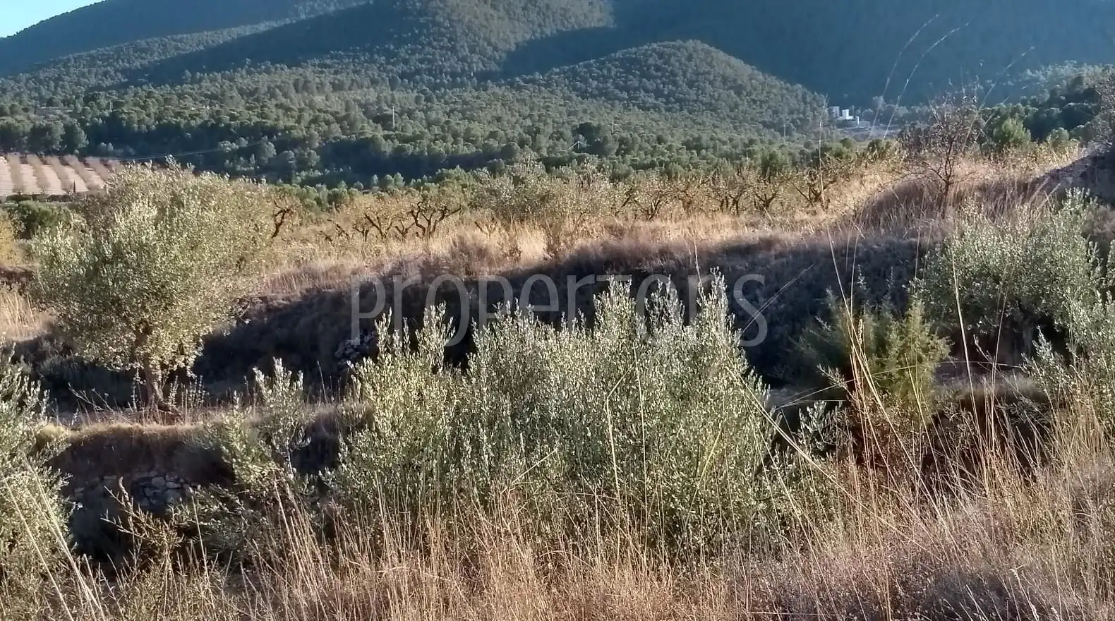 Terrenys i solars en venda a Castalla, imagen 3