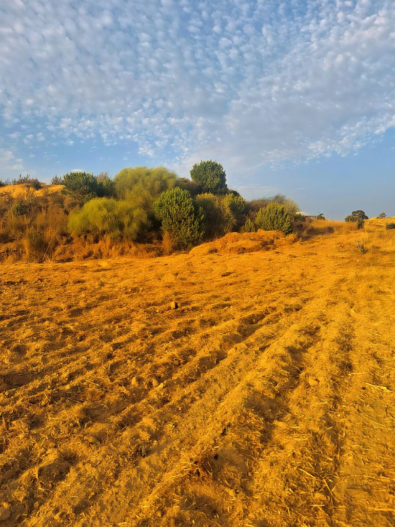 Terreno en venta en Islantilla