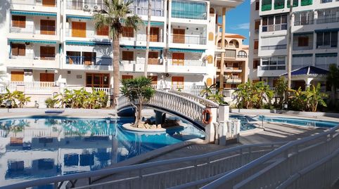 Foto 2 von Wohnung zur Miete in Cañada del Molino, Torrevieja