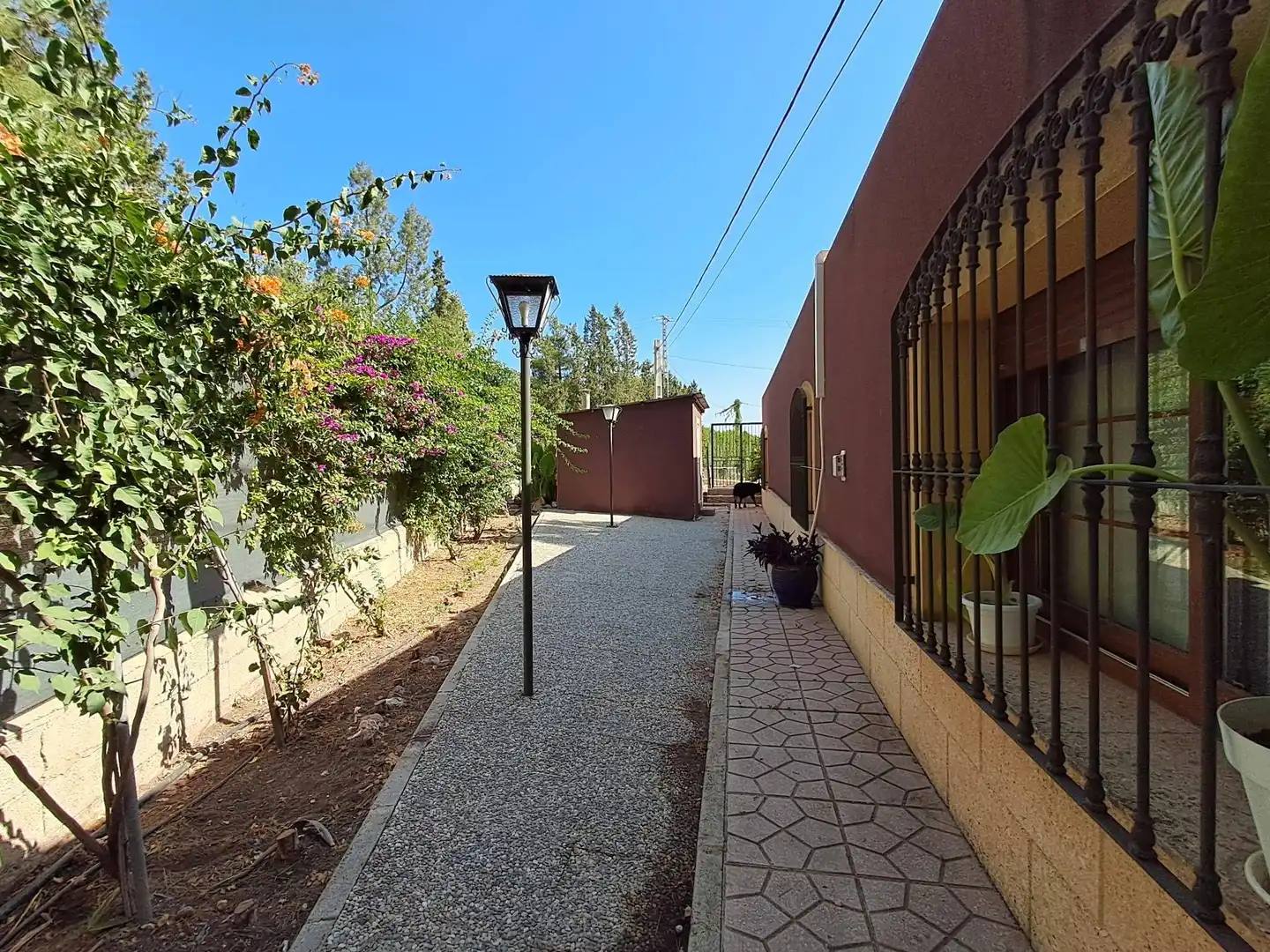 House with pool for sale in Camino DE LOS JABONEROS, imagen 51