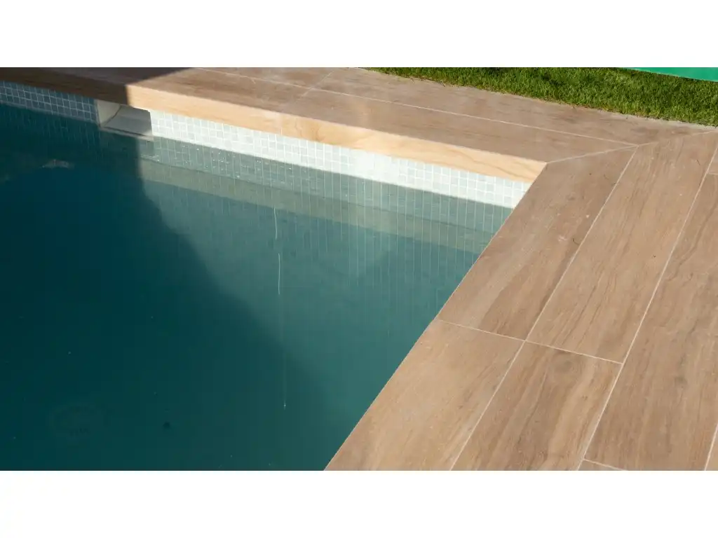 Piscina de Casa o xalet en venda en Algorfa amb Piscina