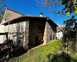 Vista exterior de Finca rústica en venda en Peñamellera Alta