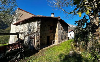 Vista exterior de Finca rústica en venda en Peñamellera Alta