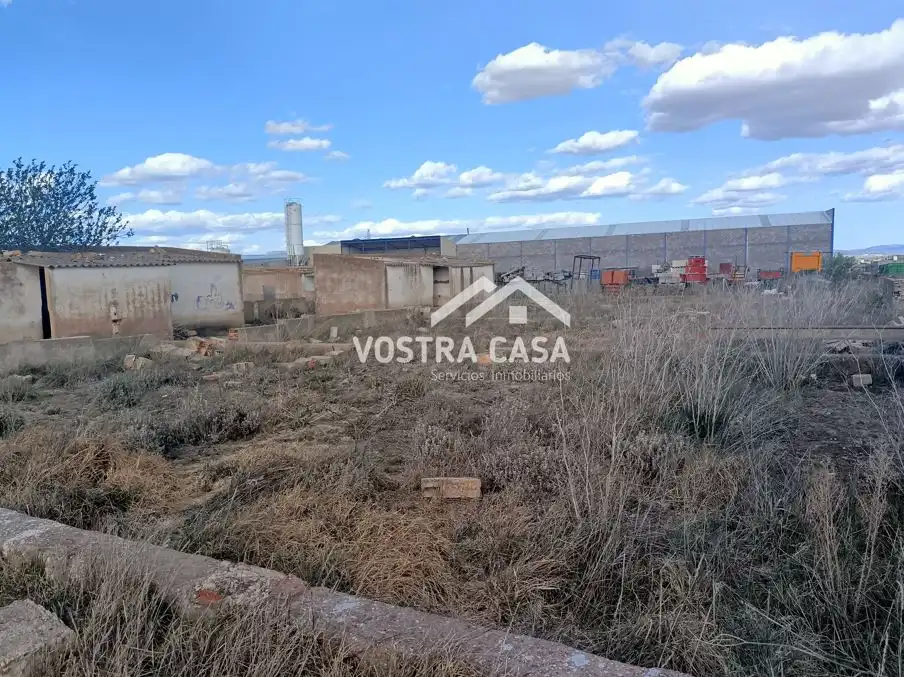 Terreny rústic en venda a PARAJE DE LA CERCA, imagen 19