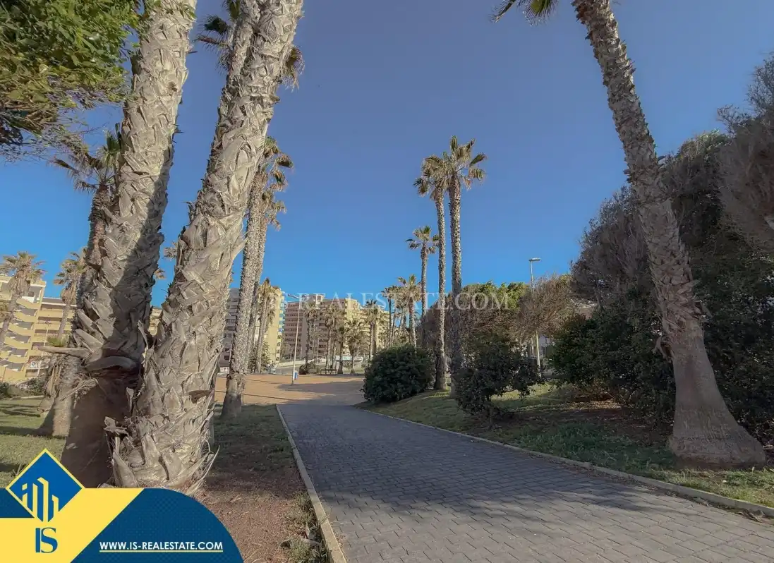 Àtic amb ascensor en venda a Playa de los Locos, imagen 27