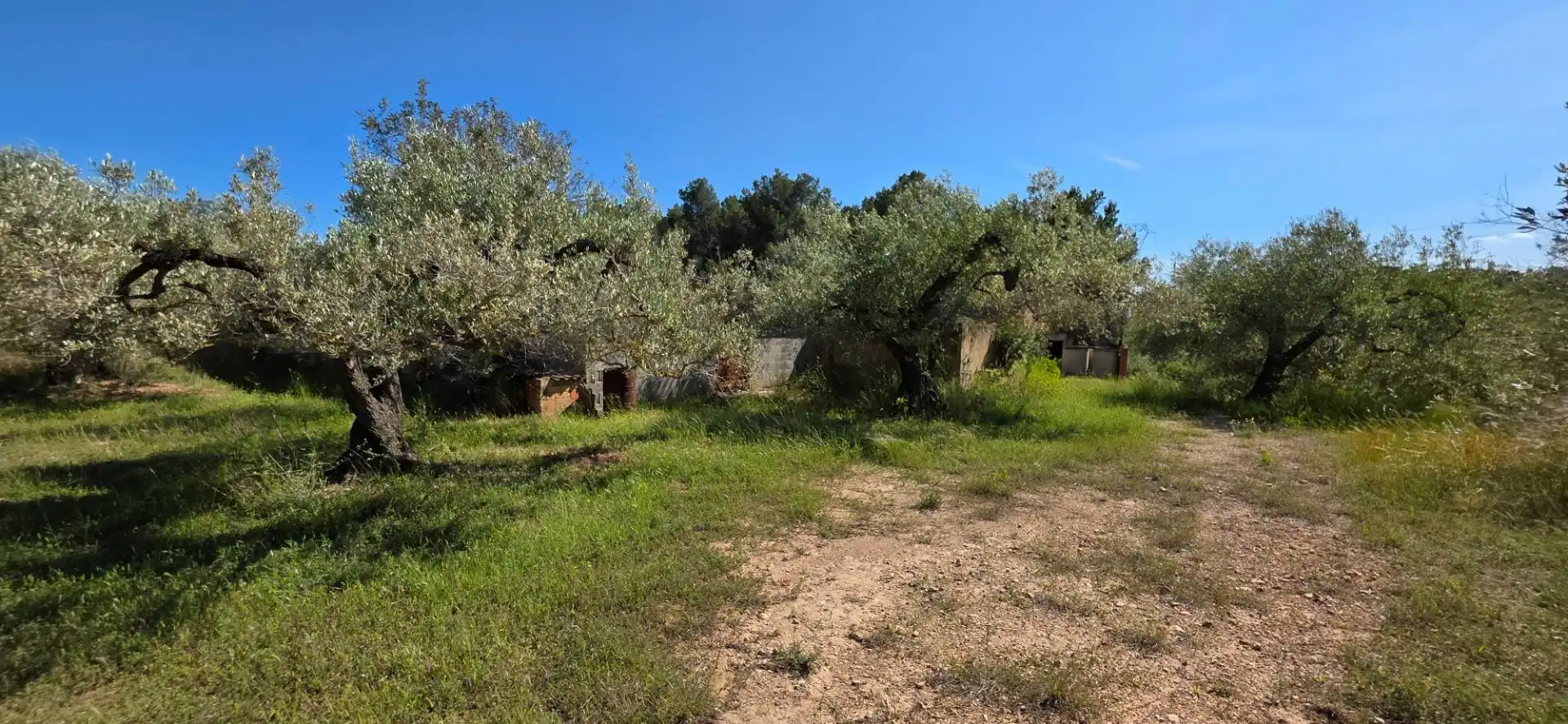 Maison rustique à vendre à Tivissa, imagen 21