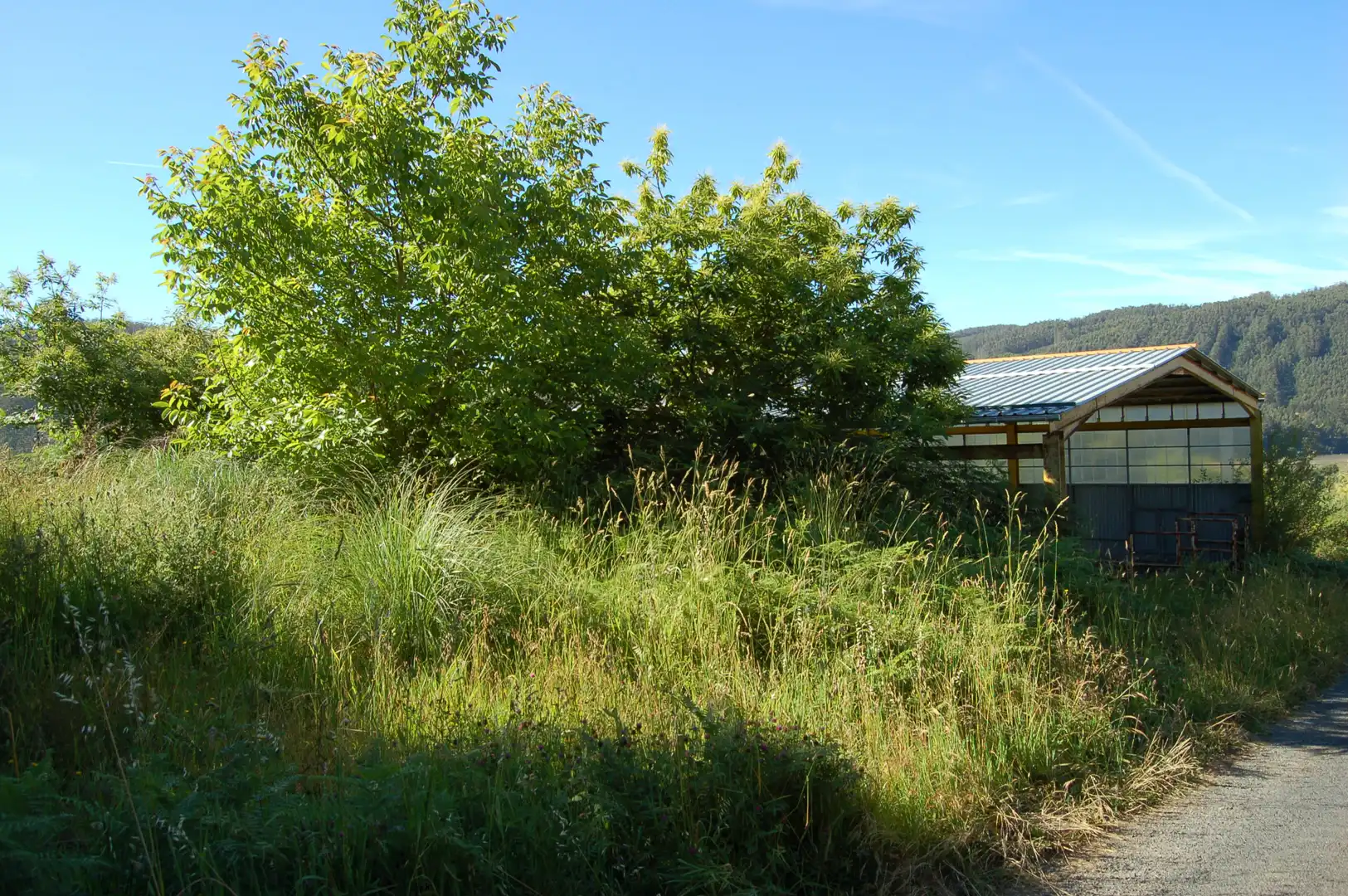Grundstücke und Bauplätze zum Verkauf in Lugar Campo Cruz 57, imagen 3