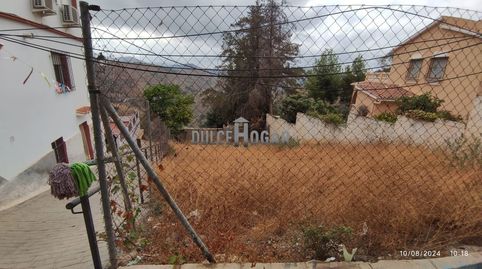 GRAN TERRENO  URBANO EN OLIAS PUEBLO., imatge 5