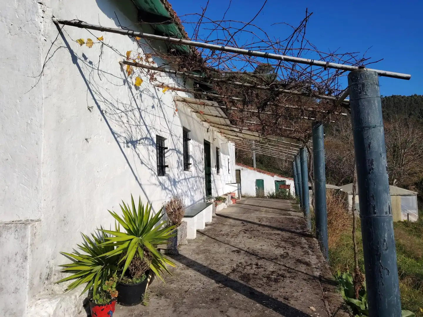 Vista exterior de Casa o chalet en venta en Gorliz con Jardín privado y Trastero