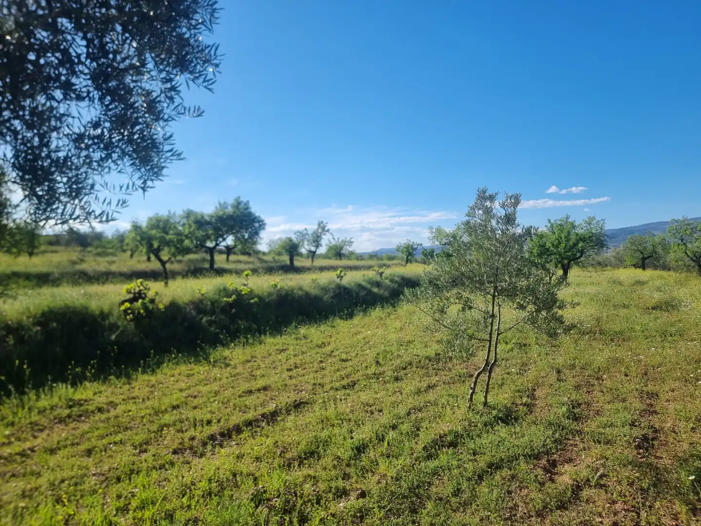Terreno en venta en Abrucena