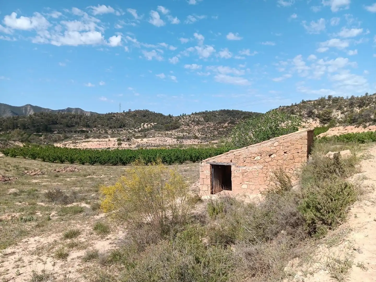 Terrain rustique à vendre à Riba-roja d'Ebre, imagen 7