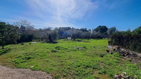 Chalet con parcela de 3000 metros., imatge 2