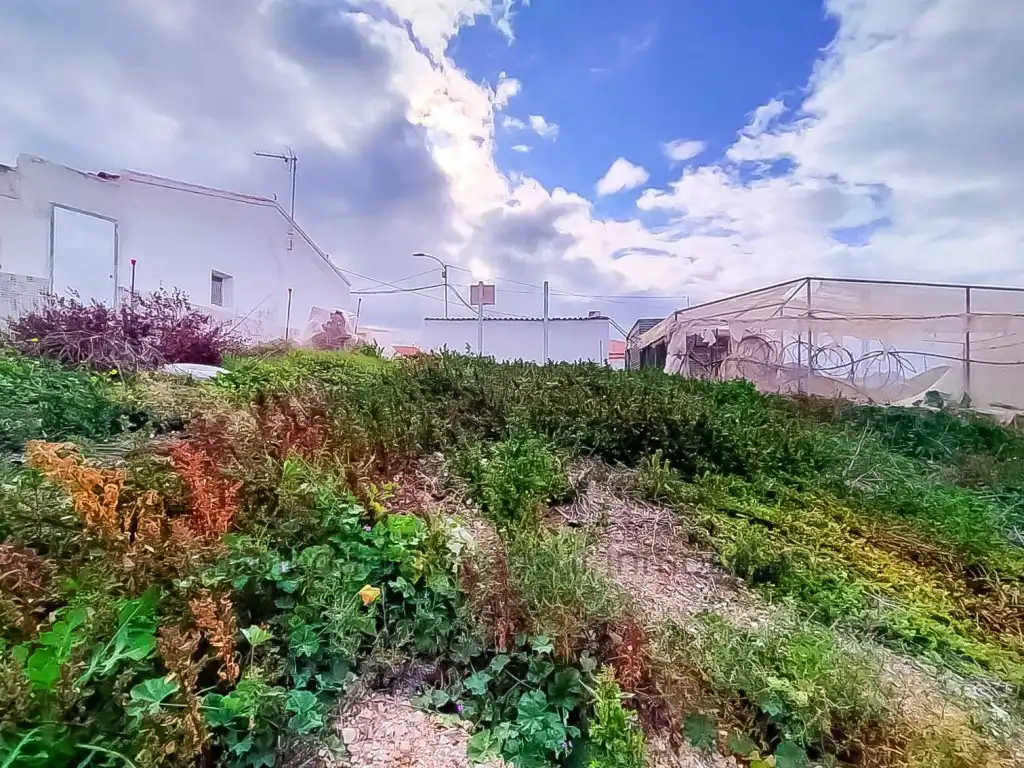 Terreny residencial en venda a Tébar - Los Arejos, imagen 7
