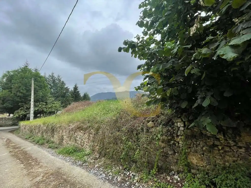 Grundstücke und Bauplätze zum Verkauf in Cardes, imagen 9