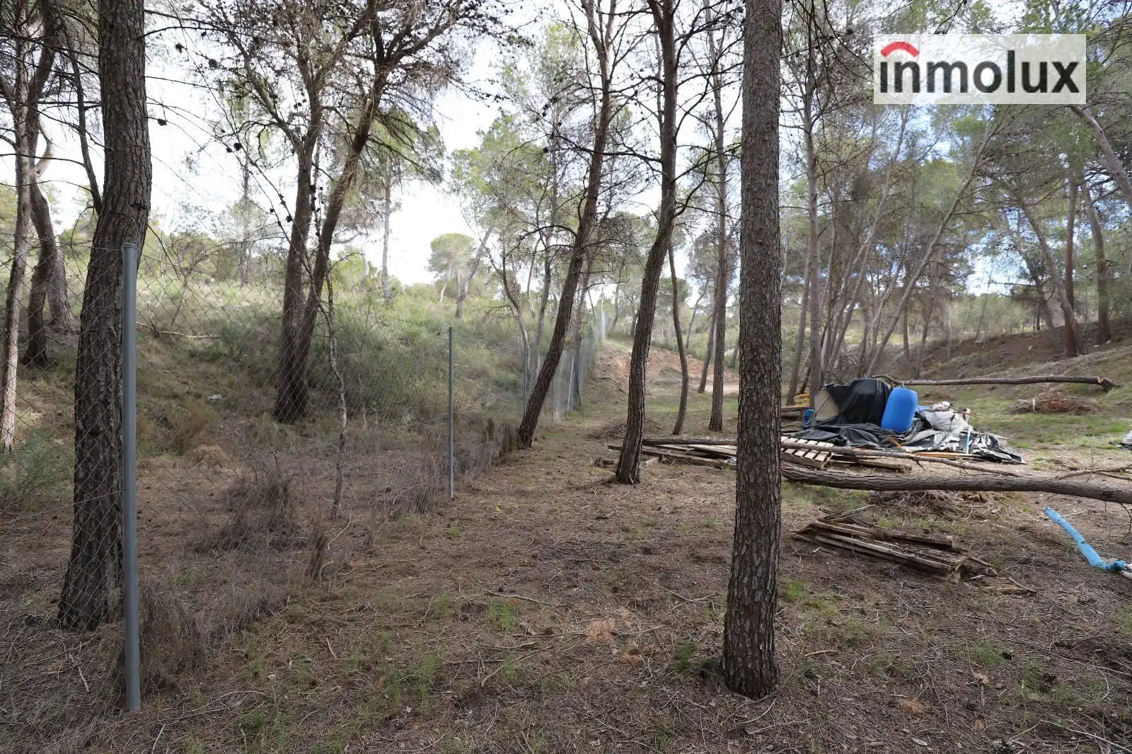 Terreno en venta en Tibi