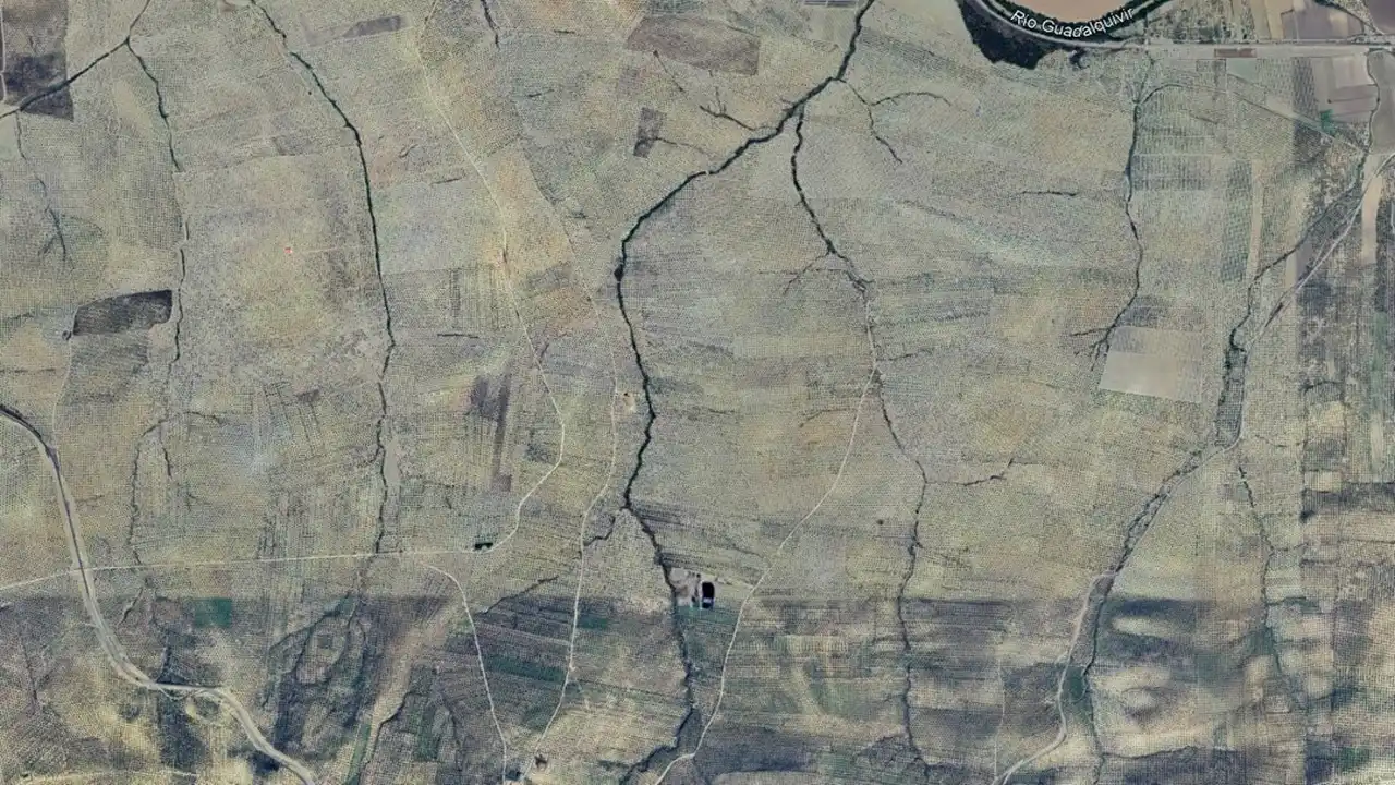 Land for sale in C/ Polígono 3 y 5 , Lahiguera