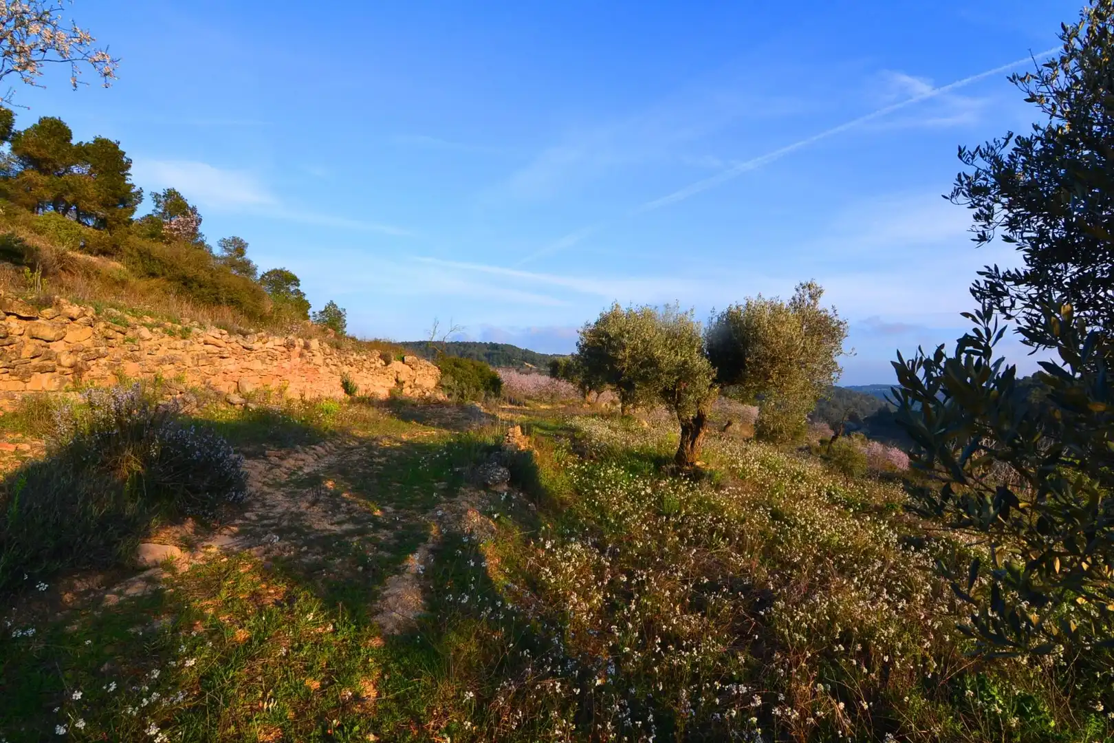Rural land for sale in Corbera d'Ebre, imagen 74