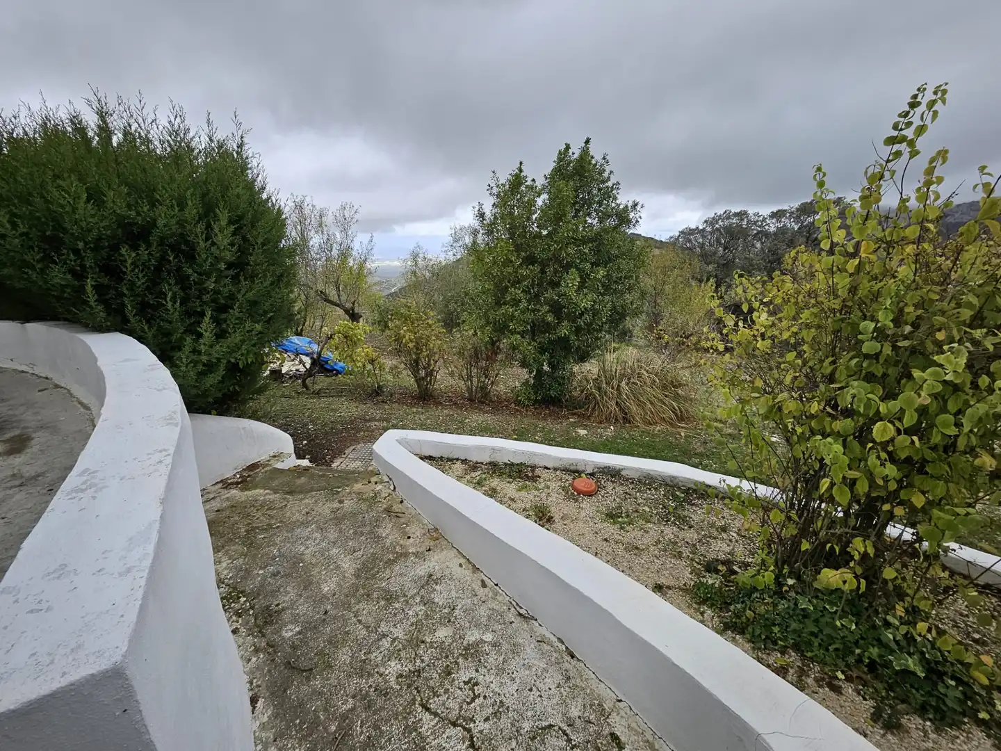 Jardín de Finca rústica en venta en Torres con Jardín privado