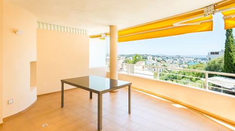 Photo 2 of Apartment to rent in Cas Català - Illetes, Illes Balears