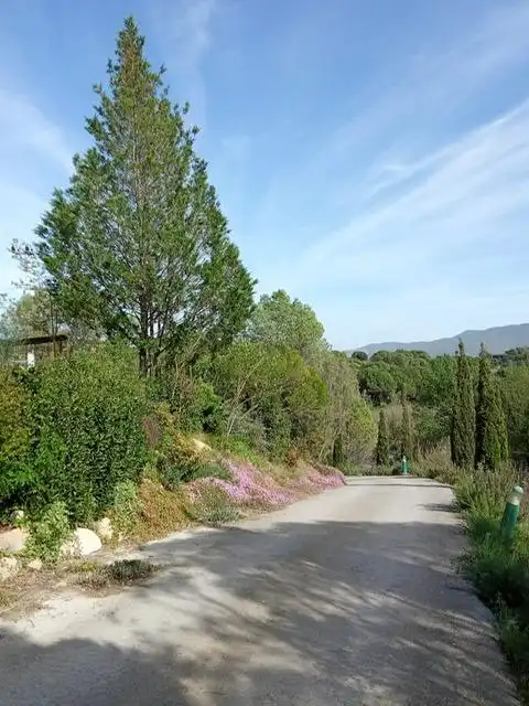 Vista exterior de Casa o xalet en venda en Sant Llorenç d'Hortons amb Calefacció, Jardí privat i Terrassa