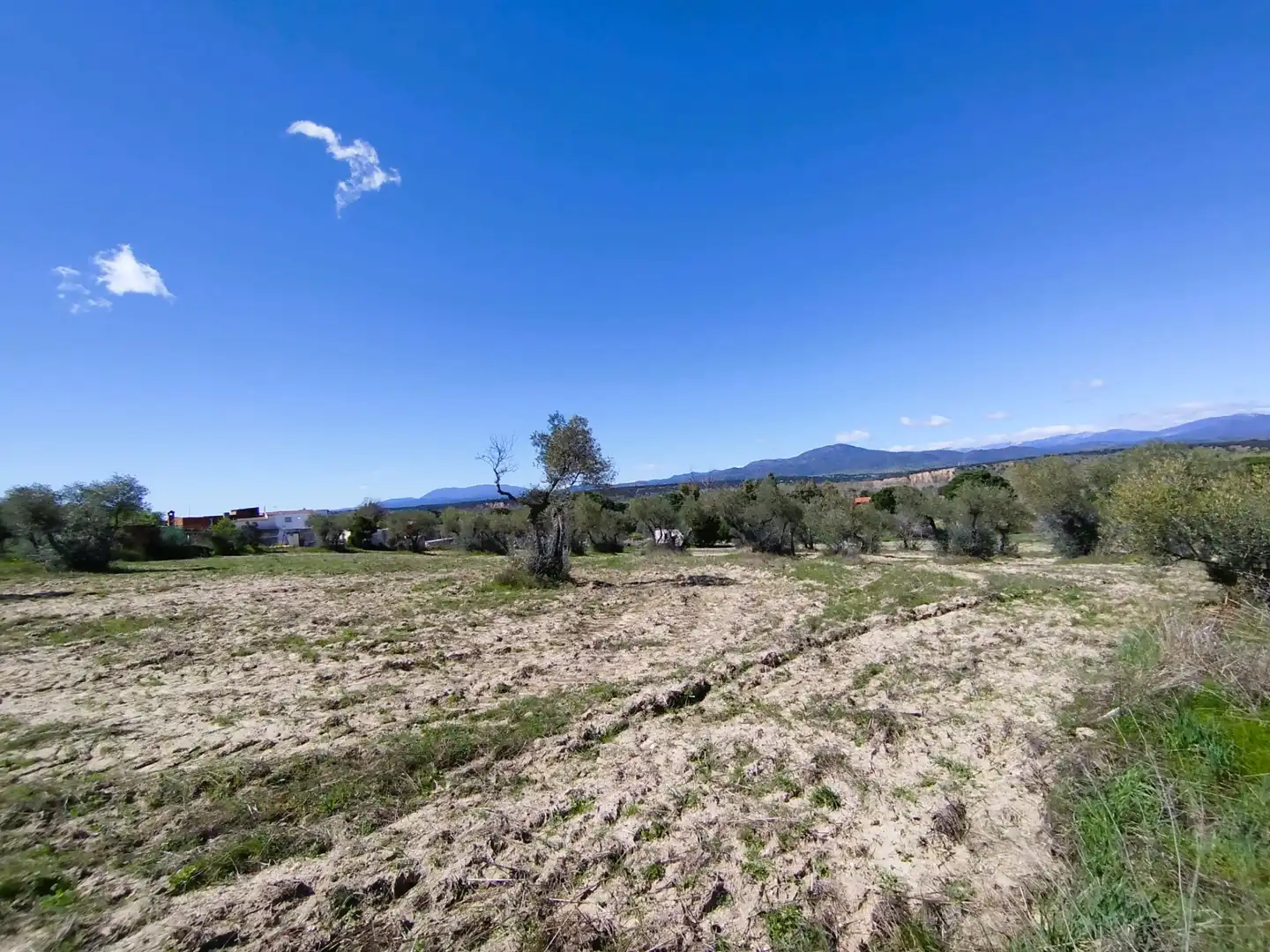 Land for sale in Escalona