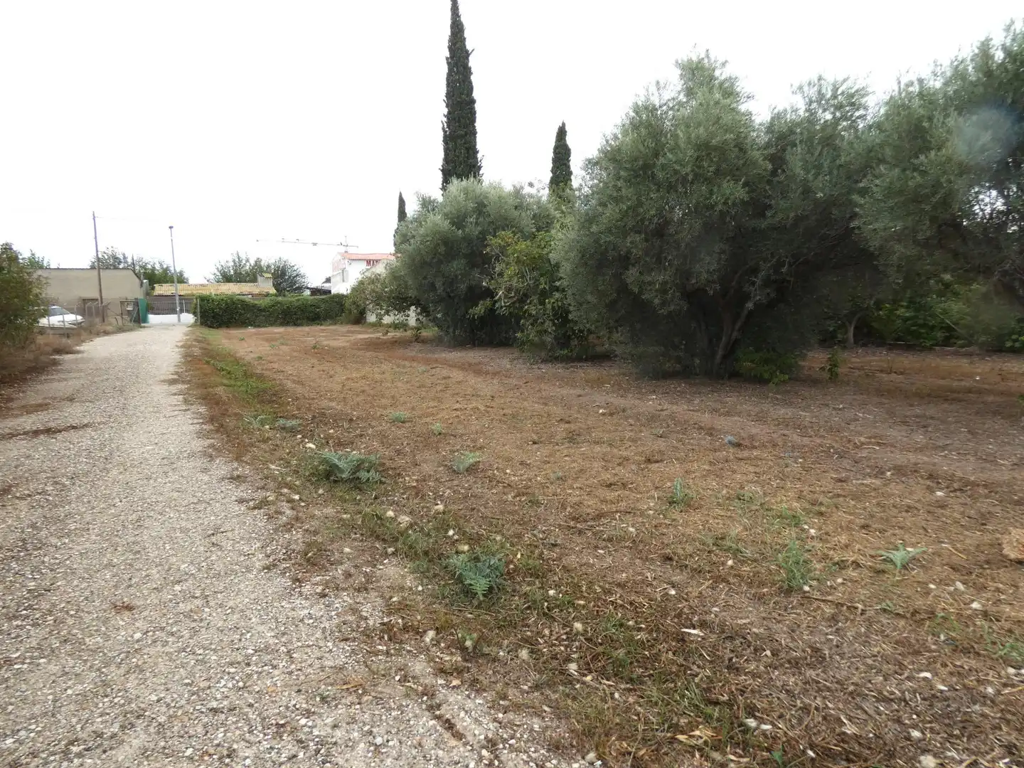 Villa mit Garten zum Verkauf in El Llano, imagen 6