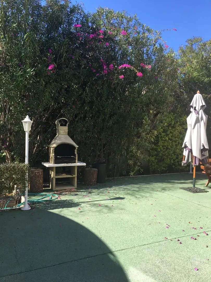 Jardí de Casa o xalet en venda en Rojales amb Jardí privat i Piscina