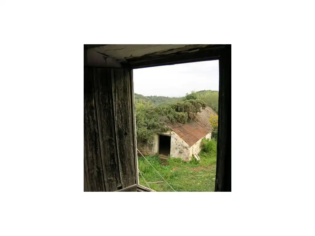 Vista exterior de Finca rústica en venta en Estepona