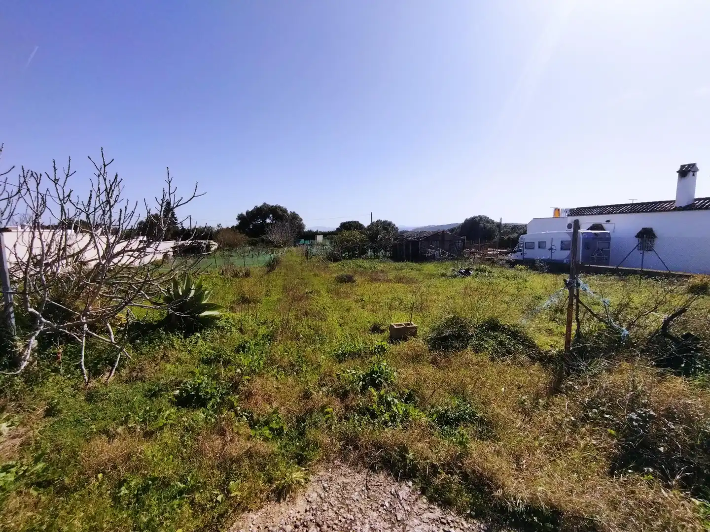 Terrain rustique à vendre à Vejer, imagen 4