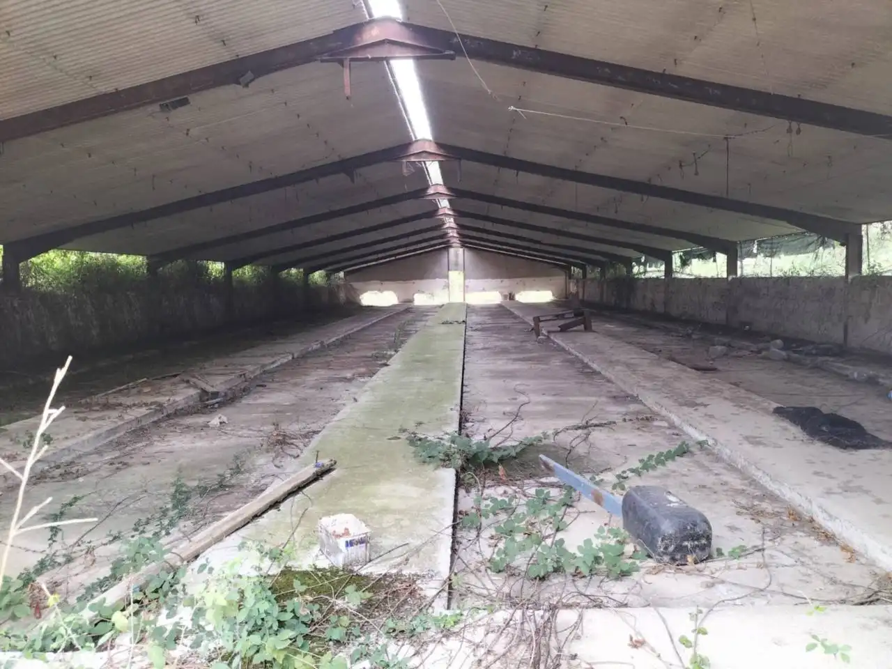 Industrial building for sale in Calle nou, imagen 6