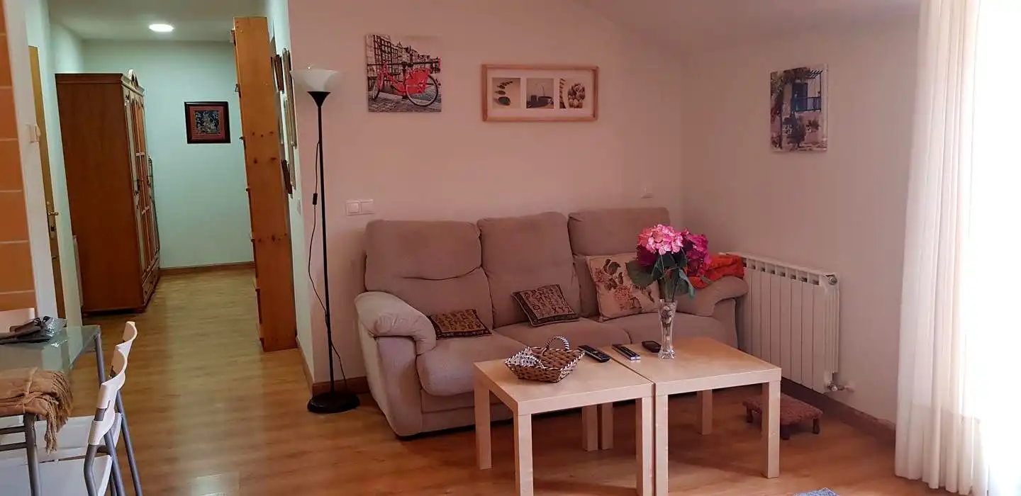 Sala d'estar de Pis en venda en Aller amb Calefacció, Parquet i Terrassa