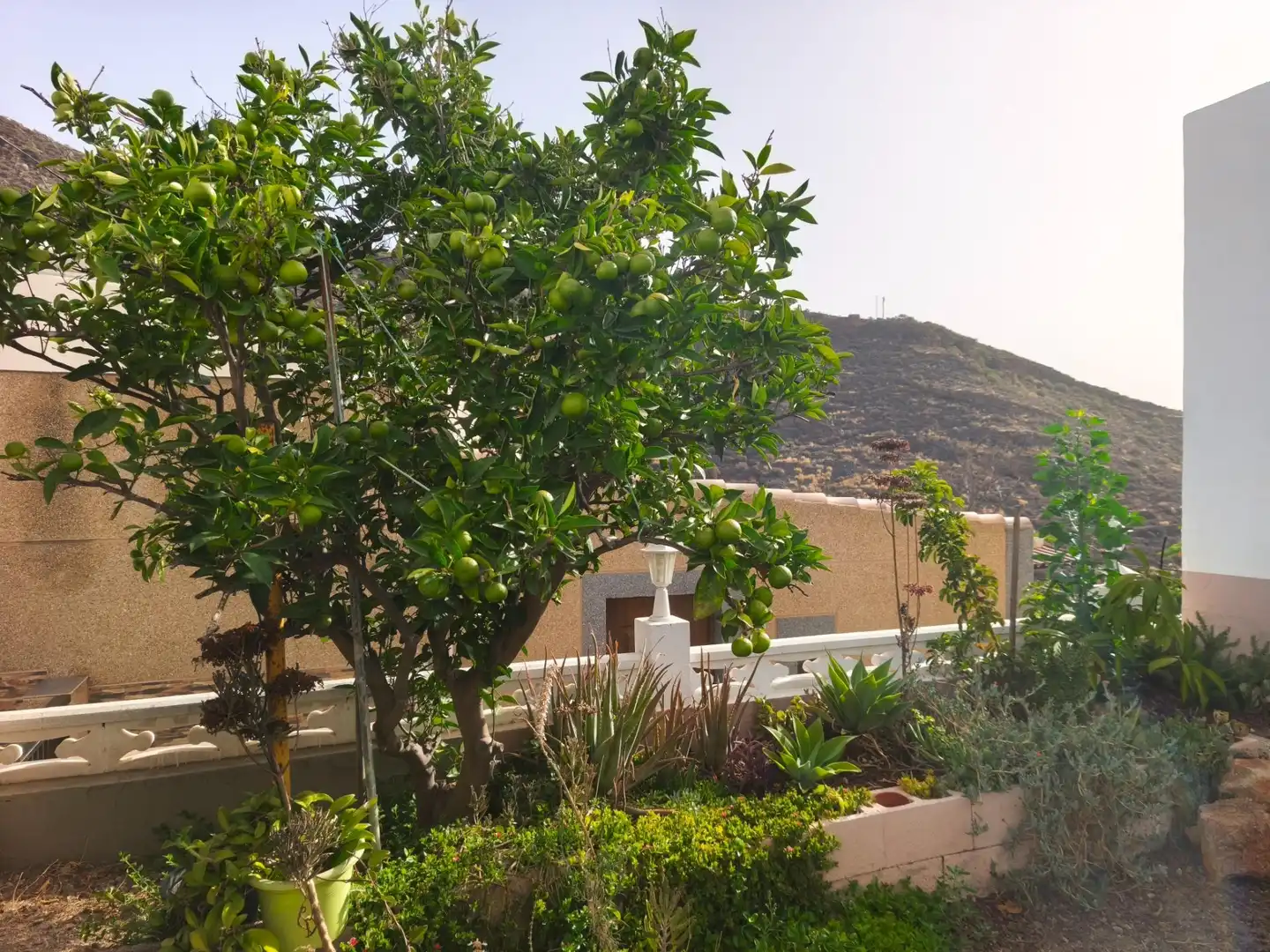 Vista exterior de Casa o xalet en venda en Candelaria amb Aire condicionat, Jardí privat i Terrassa