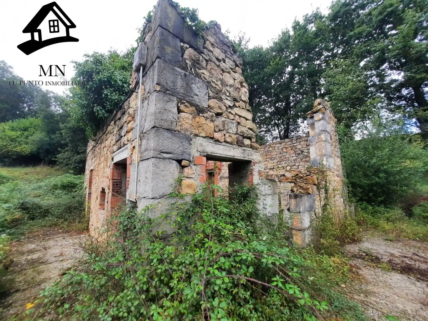 Vista exterior de Finca rústica en venta en Corvera de Toranzo