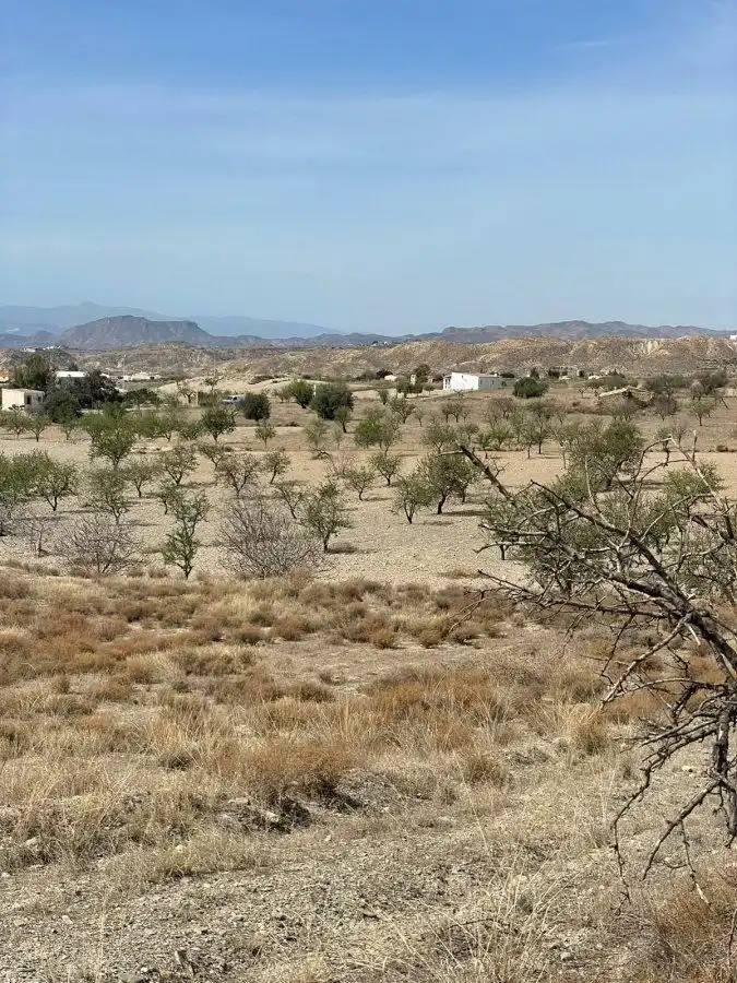 Rural land for sale in Huércal-Overa, imagen 3
