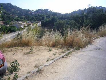 Terreny residencial en venda a Avinguda dels Arbres