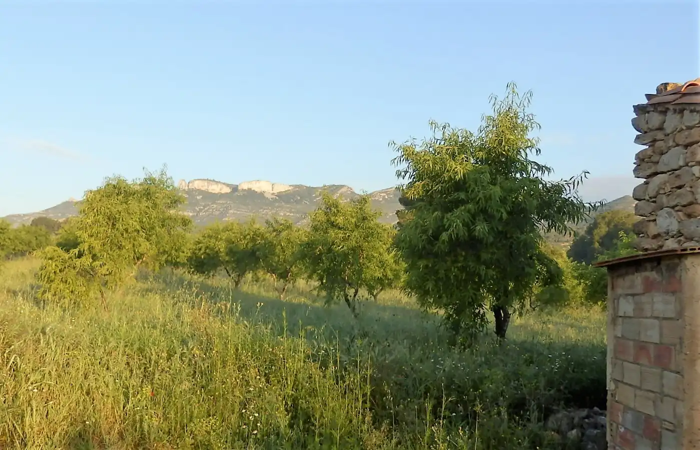 Terreno rustico in vendita a Miravet, imagen 2