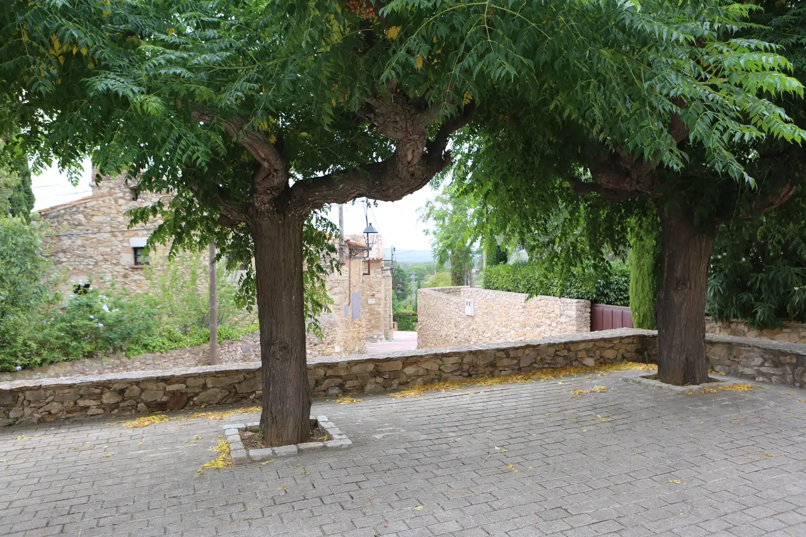 Finca rústica en venda en Begur amb Jardí privat