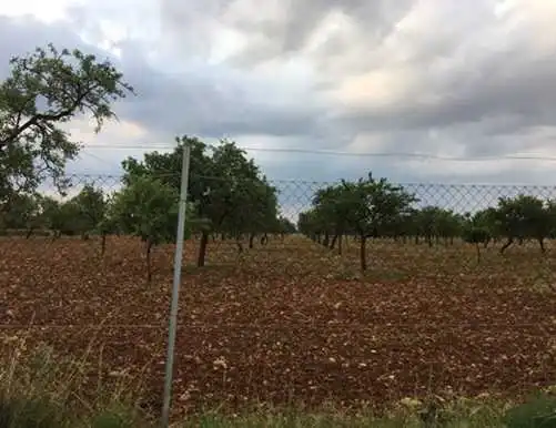 Casa rústica en venda a Polígono Pol 6 - Can Garriga, imagen 9