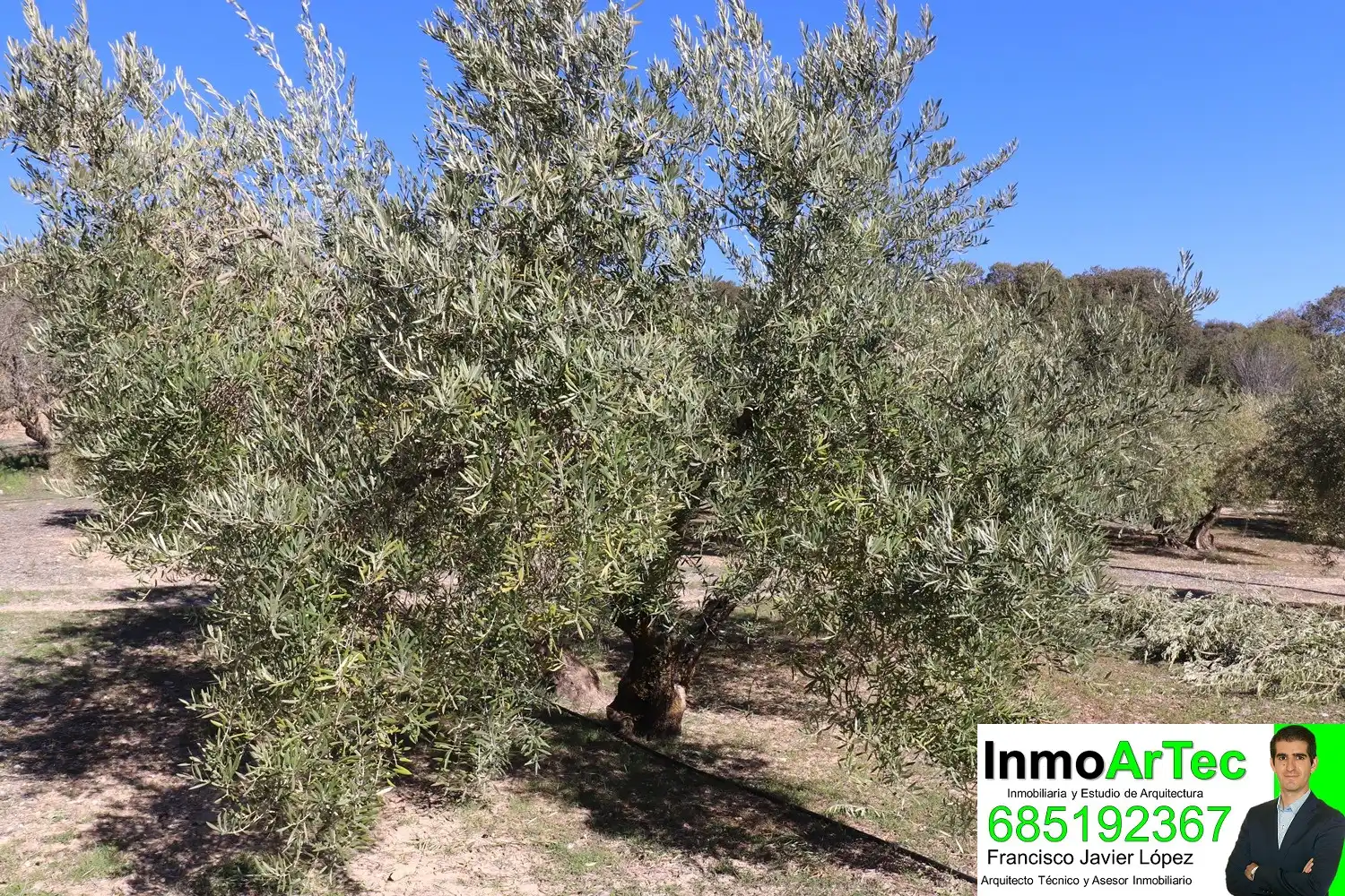 Finca rústica en venta en Íllora con Jardín privado y Terraza