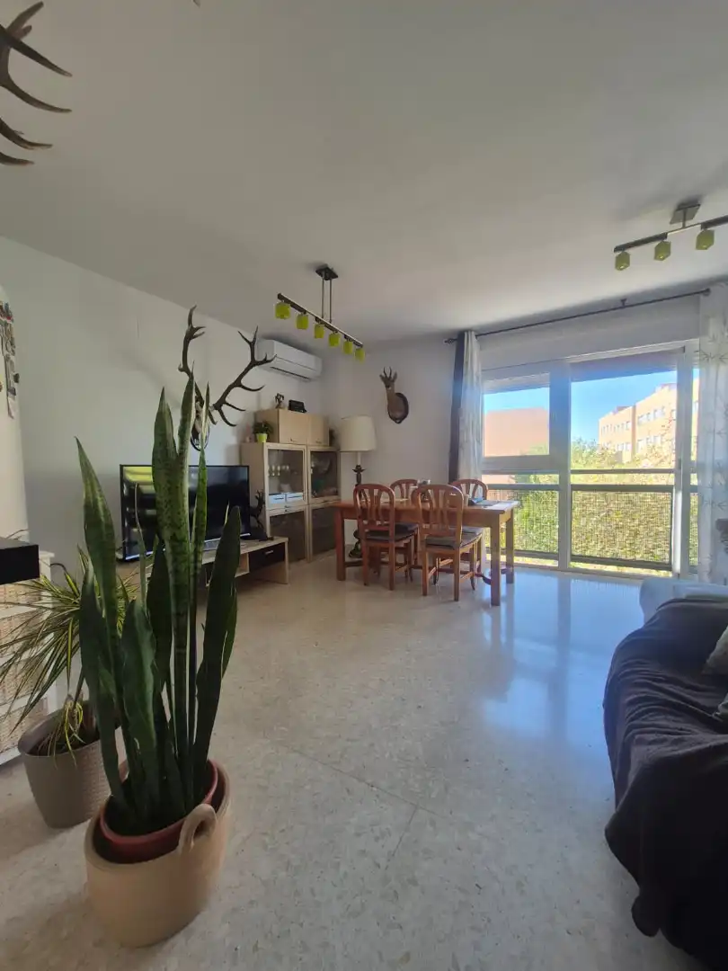 Flat with lift for sale in Casines, imagen 3