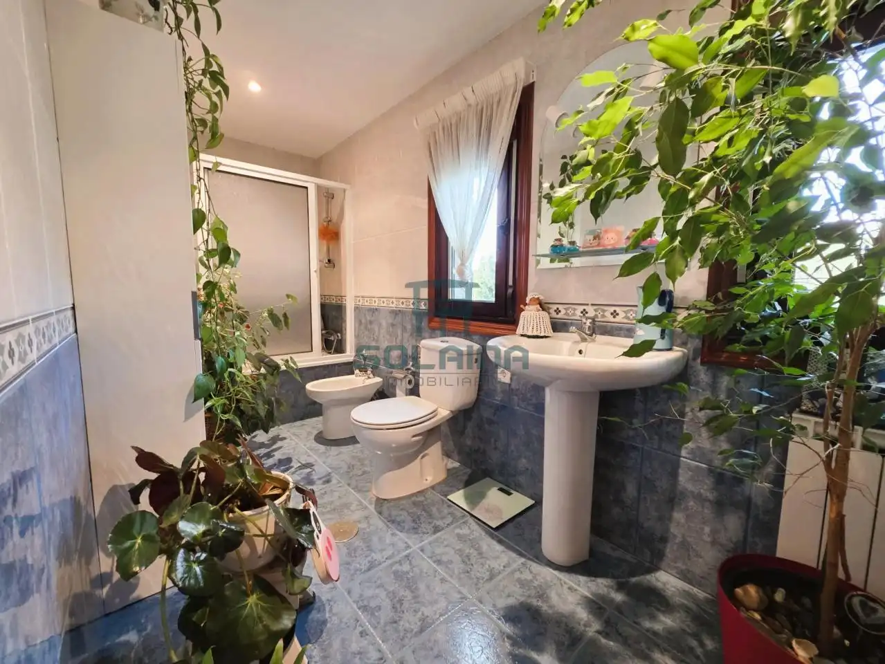 Baño de Casa o chalet en venta en Esgos con Calefacción, Jardín privado y Parquet