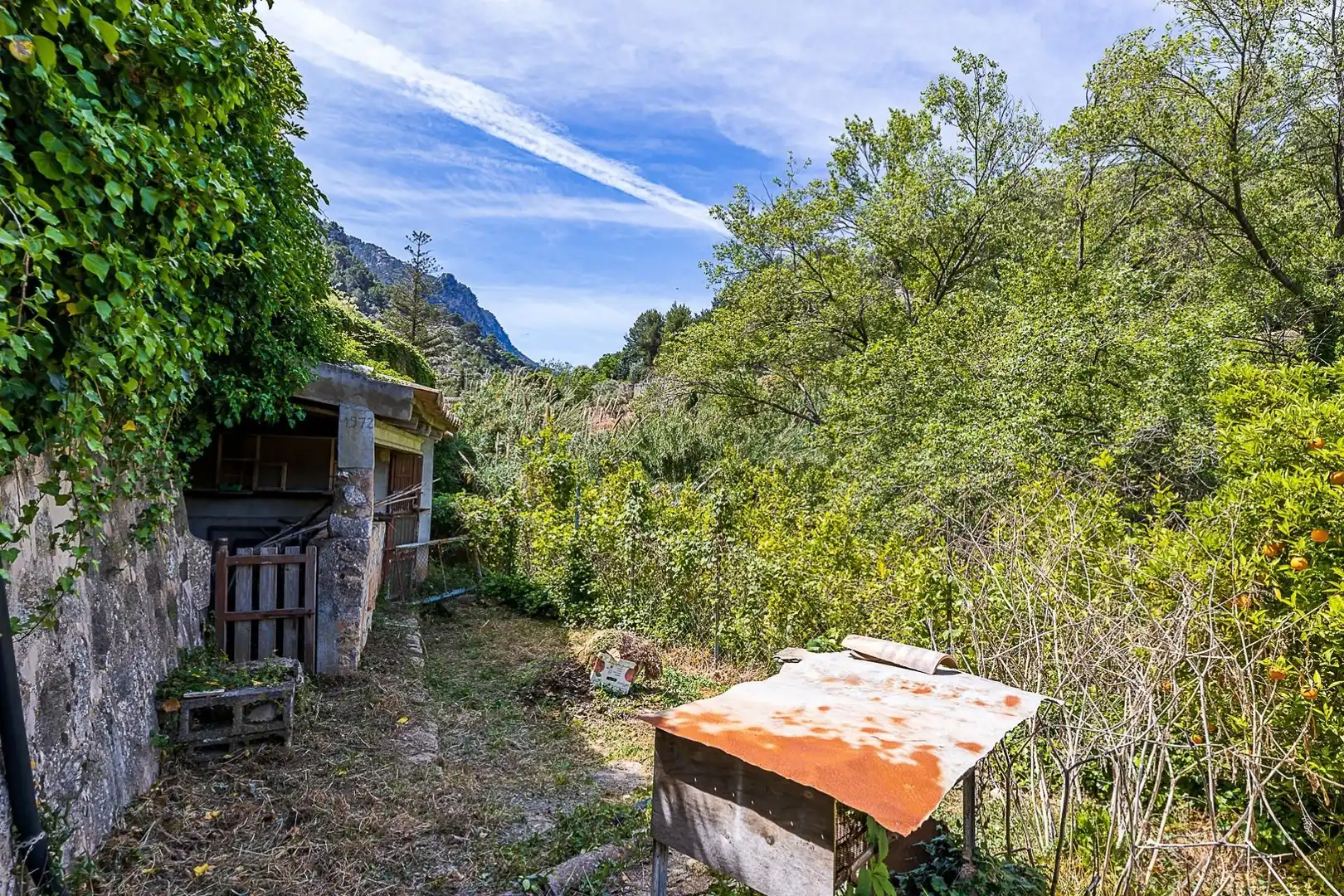 Jardí de Finca rústica en venda en Sóller amb Terrassa