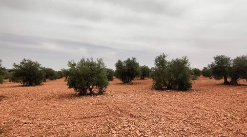 Finca Rúst. en venta en Carretera Moral.